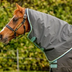 Horseware - Couverture d'extérieur Amigo Hero Ripstop Plus shadow/ blue haze/ marine 200g Gris Discount