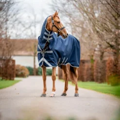 Horseware - Couverture d'extérieur Amigo Bravo Integrated Turnout / titanium grey/ argent 150g Marine