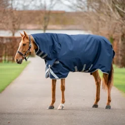 Horseware - Couverture d'extérieur Amigo Bravo Integrated Turnout / titanium grey/ argent 150g Marine