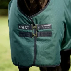 Sale Horseware - Couure d'extérieur Amigo Ripstop Turnout dynasty green/ marine/ argent 0g Vert