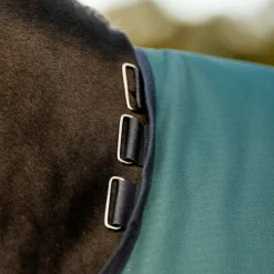 Sale Horseware - Couure d'extérieur Amigo Ripstop Turnout dynasty green/ marine/ argent 0g Vert