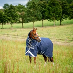 Best Horseware - Couverture d'extérieur Rhino Plus Turnout / titanium grey/ classic blue 100g Marine