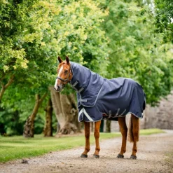 Online Horseware - Couverture d'extérieur Rambo Duo Force 2.0 / thunderstorm grey/ argent 100g Marine