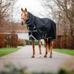 Horseware - Couverture d'extérieur Amigo Bravo Integrated Turnout / titanium grey/ argent 250g Noir Best