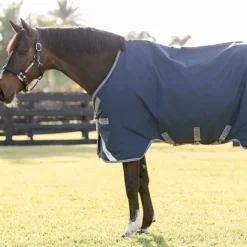Discount Horseware - Couverture d'extérieur Rhino Turnout / titanium grey/ classic blue 100g Marine