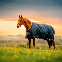 New Horseware - Couverture d'extérieur Amigo Ripstop Pony Turnout witney navy 100g Bleu