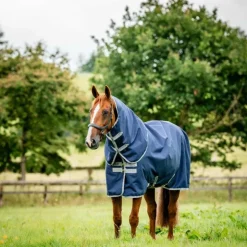 Horseware - Couverture d'extérieur Amigo Ripstop 900 Plus / titanium grey 0g Marine