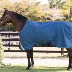 Horseware - Couverture d'extérieur Rhino Turnout / gris/ aqua 100g Marine Sale