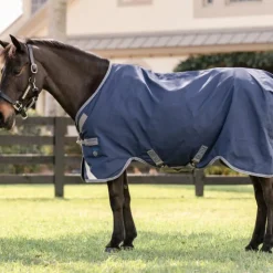 Discount Horseware - Couverture d'extérieur Rhino Pony Turnout / titanium grey/ classic blue 0g Marine