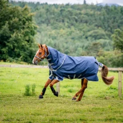 Horseware - Couverture d'extérieur Amigo Bravo Plus Turnout marine/ titanium grey/ argent 50g