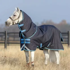 Discount Horseware - Couverture d'extérieur Amigo Bravo poney plus avec couvre-cou / turquoise 250g Marine