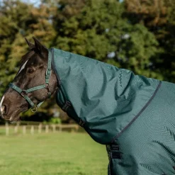 Horseware - Couure d'extérieur Amigo Ripstop Plus Turnout dynasty green/ marine/ argent 100g Vert Discount