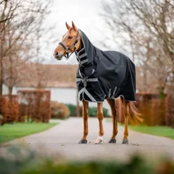 Hot Horseware - Couverture d'extérieur Amigo Bravo Integrated Turnout / titanium grey/ argent 0g Noir