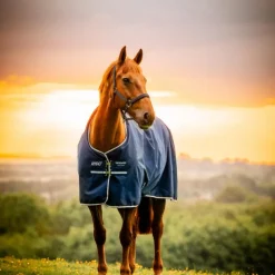 Horseware - Couverture d'extérieur Amigo Ripstop Pony Turnout witney navy 50g Bleu Best