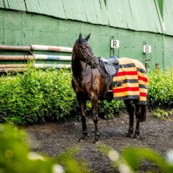 Horseware - Couverture polaire Newmarket witney gold Jaune New