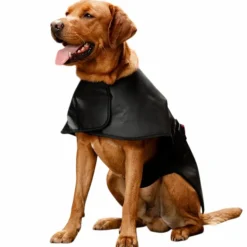 Horseware - Couverture pour chien thérapeutique lumière rouge LED Noir New