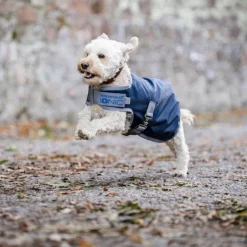 Horseware - Couverture pour chien Ionic Therapy imperial blue/ argent/ marine 50g Bleu Online