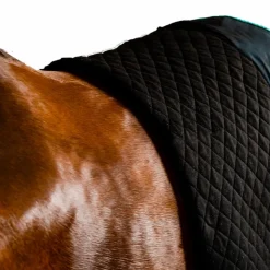 Horseware - Couverture séchante Autumn Cooler / aqua/ argent 50g Noir Sale