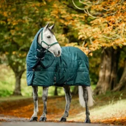 Horseware - Couvre-cou couure de box Amigo Ripstop Insulator dynasty green/ marine/ argent 200g Vert Best
