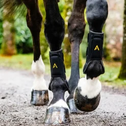 Horseware - Guêtres fermées Adagio x2 Noir Outlet