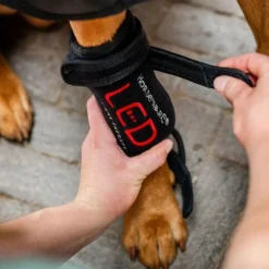 Horseware - Guêtres thérapeutiques pour chien Lumière rouge LED Noir Online