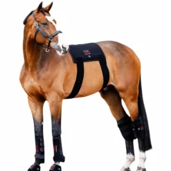 Horseware - Guêtres thérapeutiques lumière rouge LED (x1) Noir Clearance