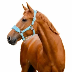 Online Horseware - Licol de pansage Signature Grooming blue haze Bleu