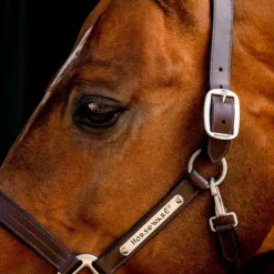 Outlet Horseware - Licol en cuir Signature Marron