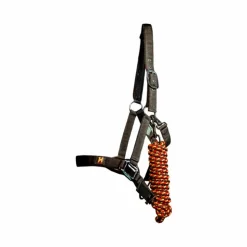 New Horseware - Licol et longe Newmarket witney gold Jaune