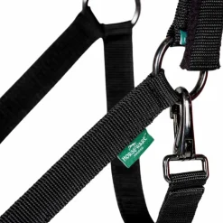 New Horseware - Licol et longe Newmarket witney gold Jaune