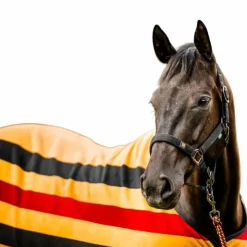 New Horseware - Licol et longe Newmarket witney gold Jaune