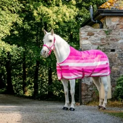 New Horseware - Licol et longe Newmarket witney pink Rose