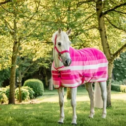 New Horseware - Licol et longe Newmarket witney pink Rose