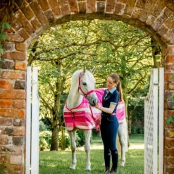 New Horseware - Licol et longe Newmarket witney pink Rose