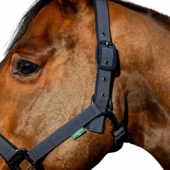 Horseware - Licol et longe Amigo Marine New