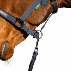 Horseware - Licol et longe Amigo Marine New