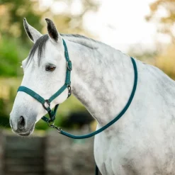 Outlet Horseware - Licol et longe dynasty green Vert