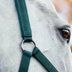 Outlet Horseware - Licol et longe dynasty green Vert
