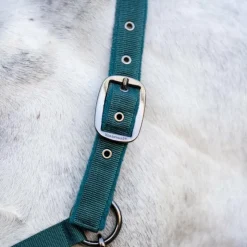 Outlet Horseware - Licol et longe dynasty green Vert