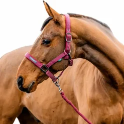 Clearance Horseware - Licol et longe Amigo mulberry Rouge
