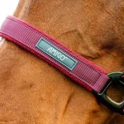 Clearance Horseware - Licol et longe Amigo mulberry Rouge