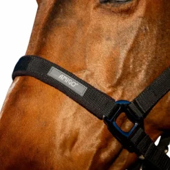 Horseware - Licol et longe Amigo Noir Discount