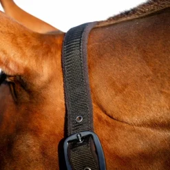 Horseware - Licol et longe Amigo Noir Discount
