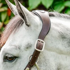 Horseware - Licol pour chevaux Signature Tressé marron/ marine/ blue haze Bleu