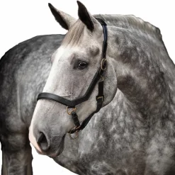 Sale Horseware - Licol pour chevaux en cuir Rambo Micklem Noir