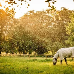 Horseware - Masque anti-mouches Newmarket witney charcoal Gris Outlet