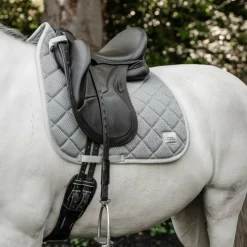 Discount Horseware - Tapis de dressage Alessandro Albanese Performance silver slate Gris