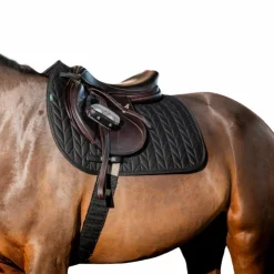 Horseware - Tapis de selle Amigo GP Noir Outlet