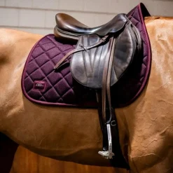 Horseware - Tapis de selle Alessandro Albanese Performance primatova Violet Hot