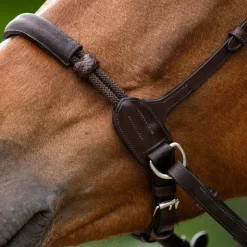 Jump'In - Bridon bitless Evolution havane Marron